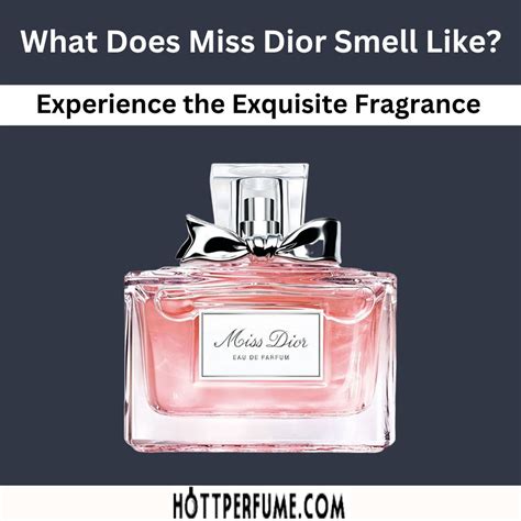 miss.dior 100ml|what does miss dior smell like.